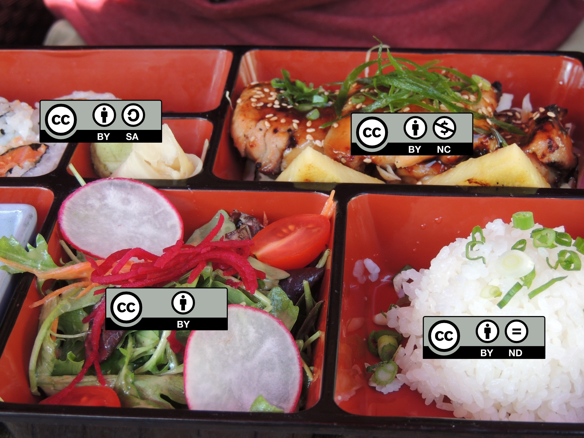 Bento Collection. A photo of a bento with each ingredient in a separate box labeled with a different license type.